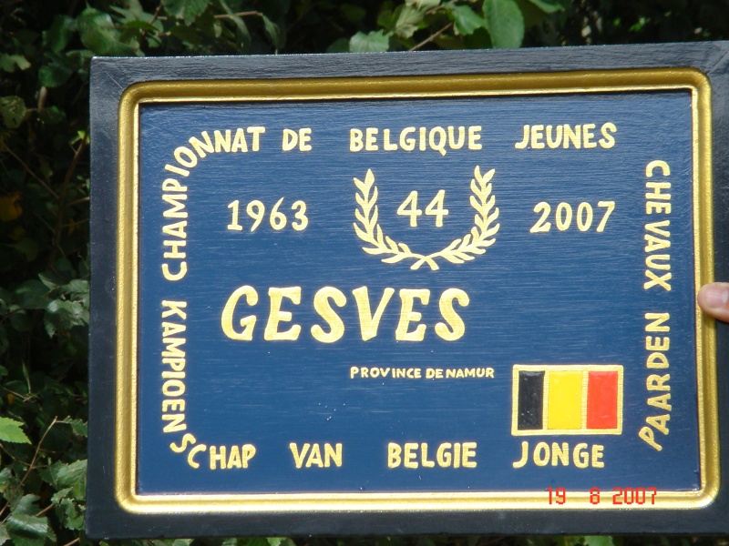 Championnat de Belgique Jeunes Chevaux à Gesves